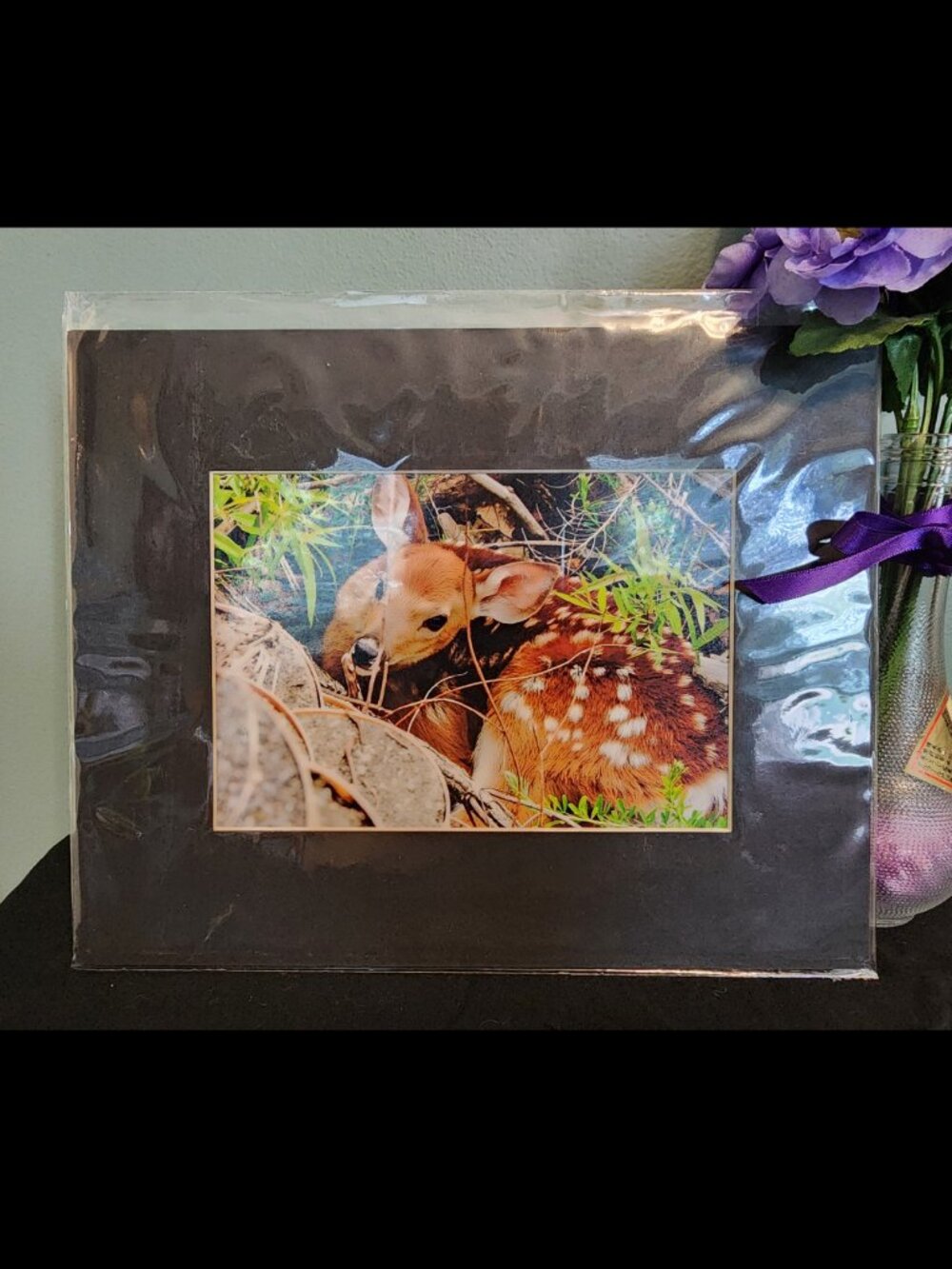 2/$13 White-Tailed Deer Fawn Photography Print with Black Matte Frame - 8x10